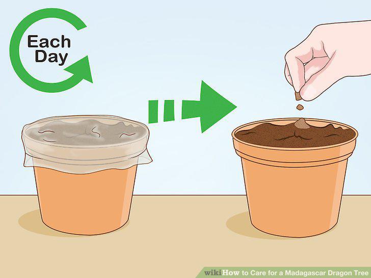 Step 29