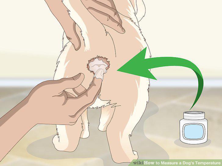 Step 2