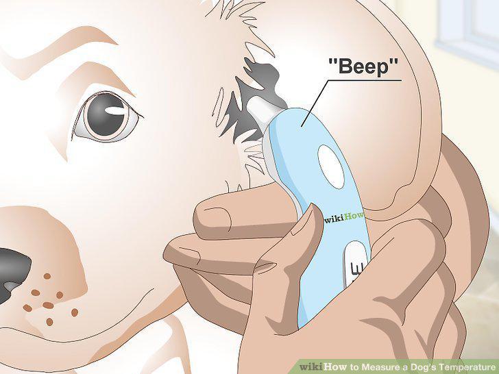 Step 11