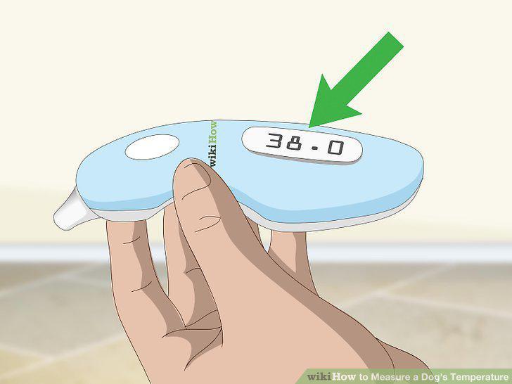 Step 12