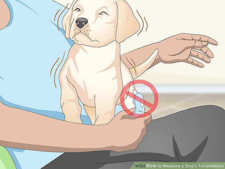 Step 13