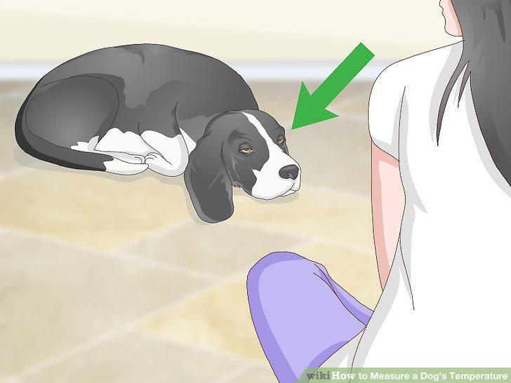 Step 14