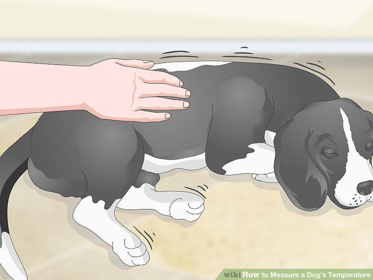 Step 15