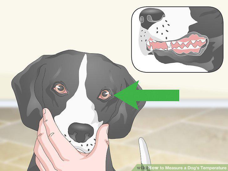 Step 16