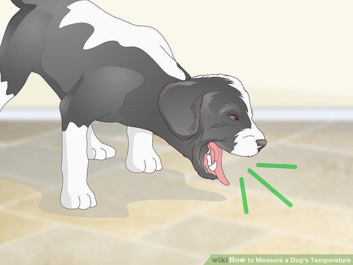Step 17