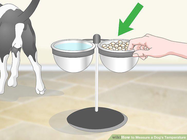 Step 18