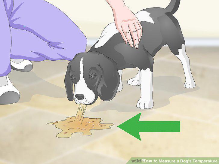 Step 19