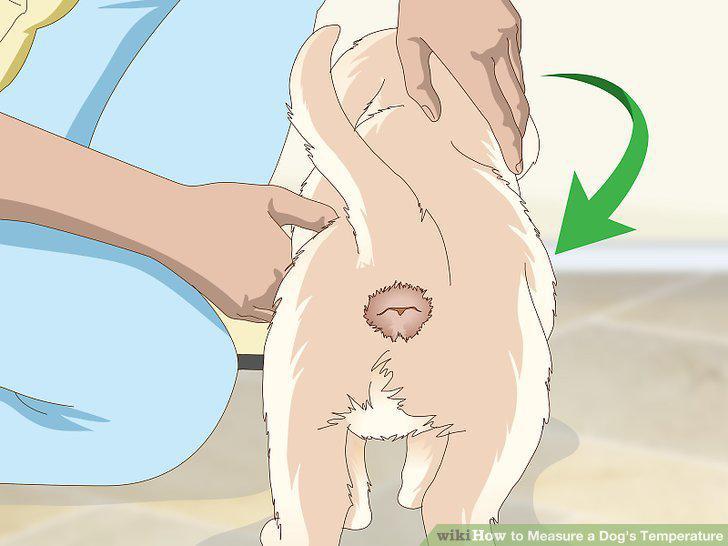 Step 3