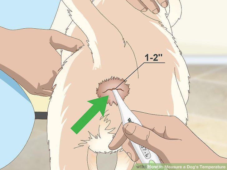 Step 4