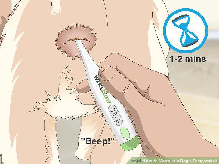 Step 5