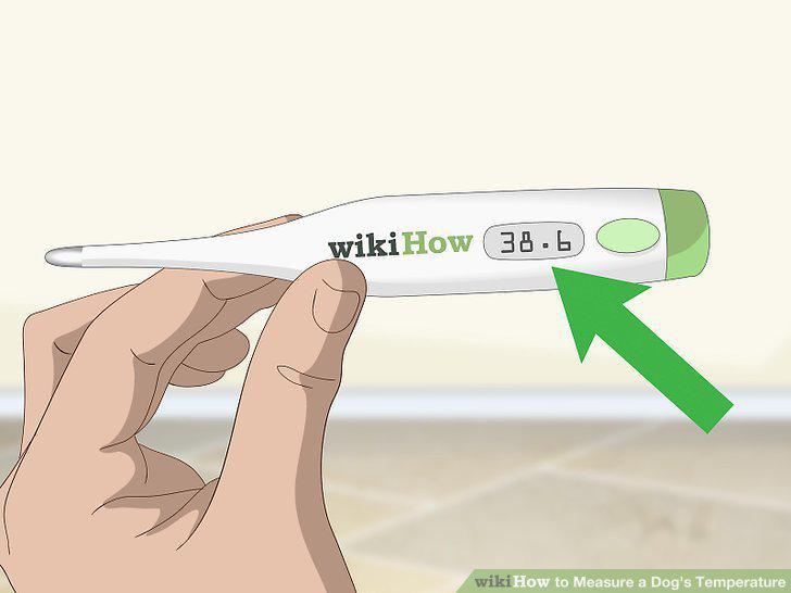 Step 6