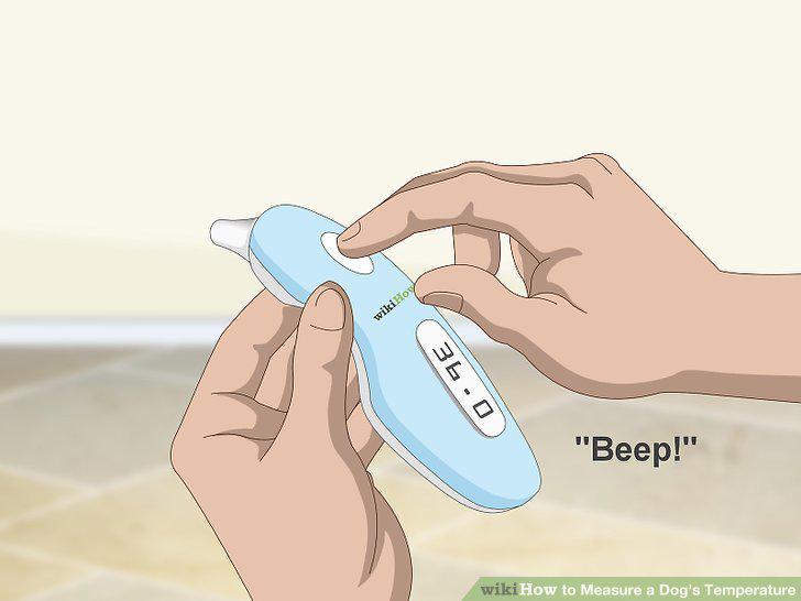 Step 8