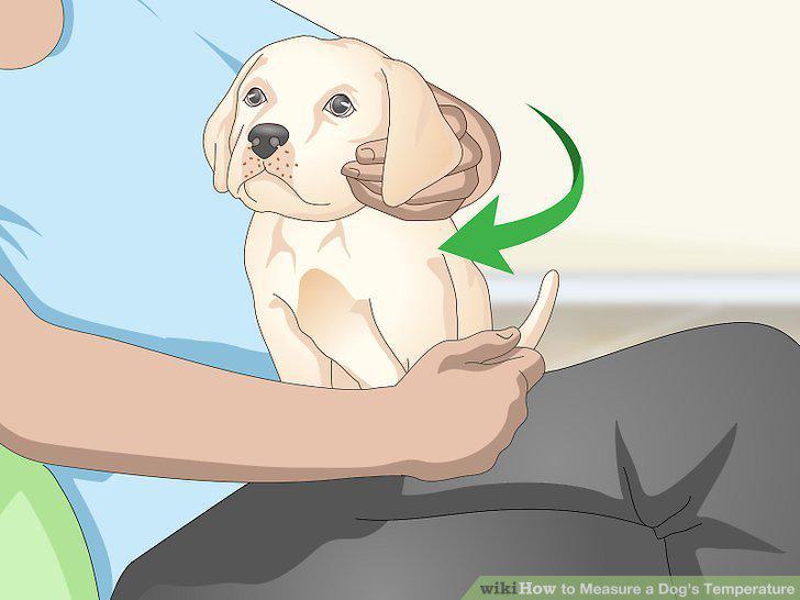 Step 9