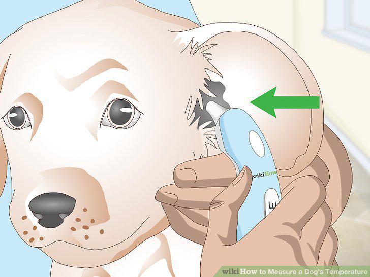 Step 10