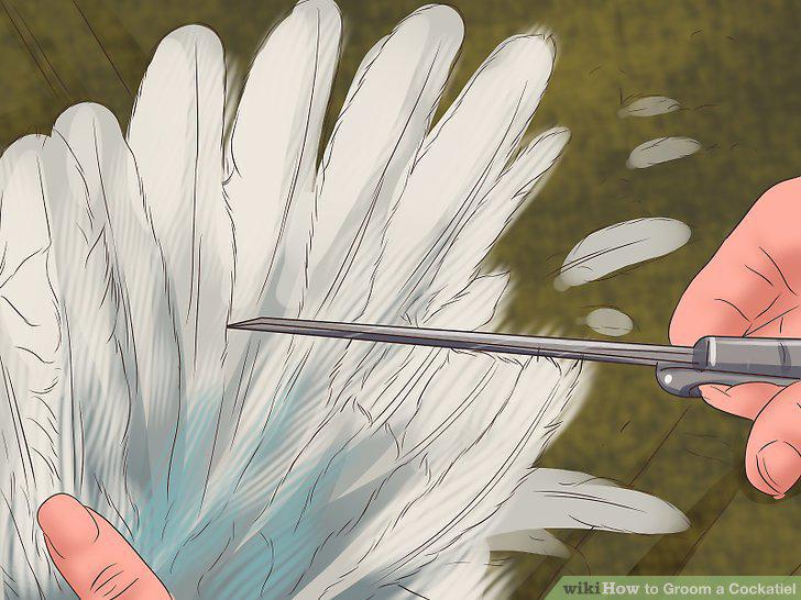 Step 11
