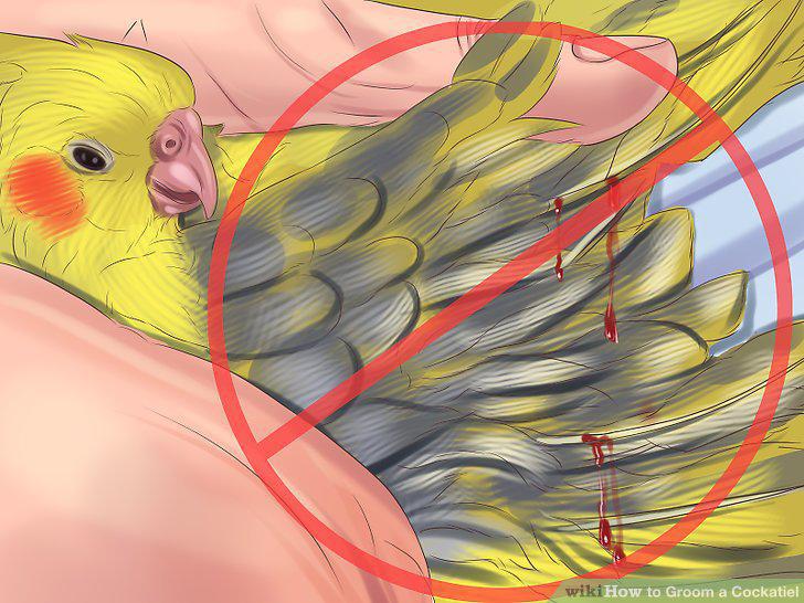 Step 13