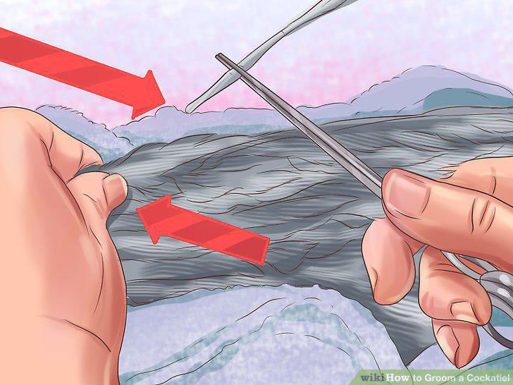 Step 14