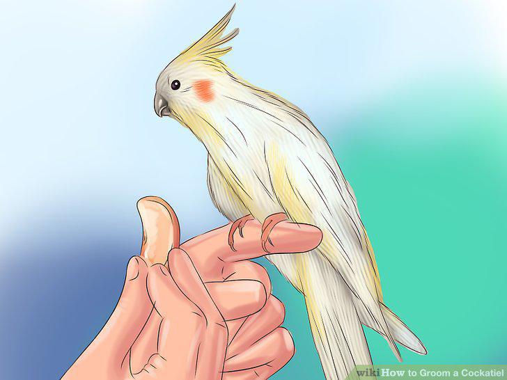 Step 8