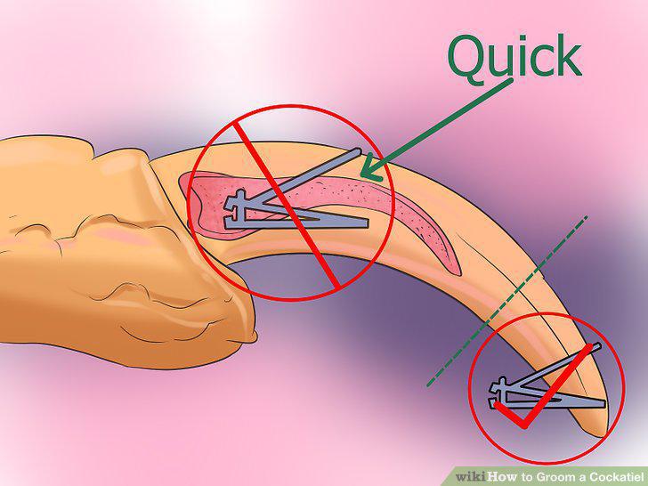Step 9