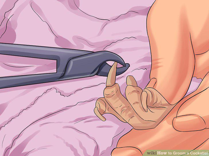 Step 10