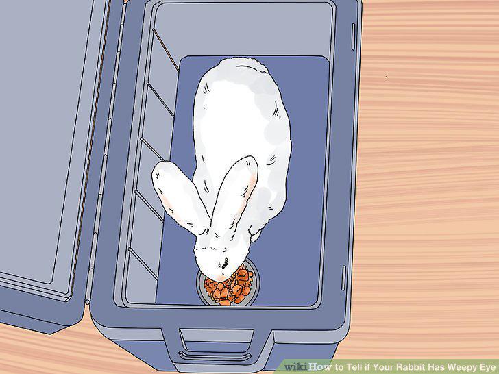 Step 11