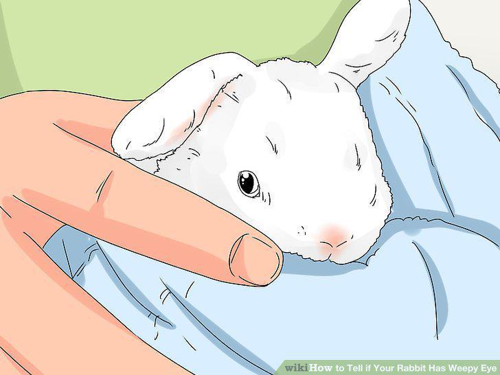 Step 12