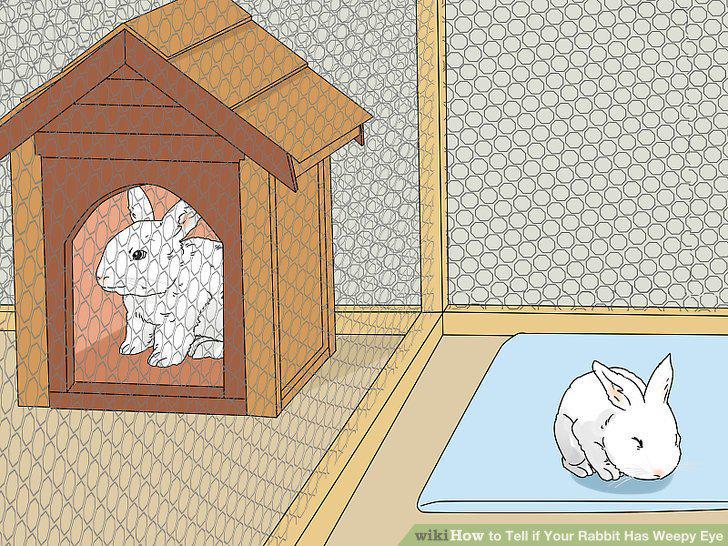 Step 13