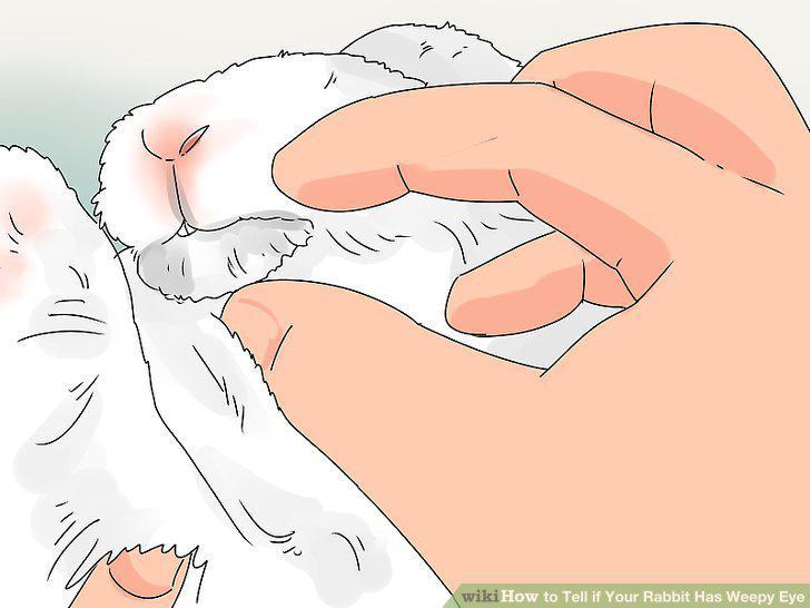 Step 4