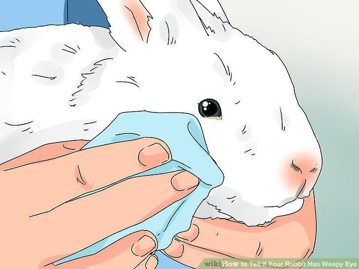 Step 6