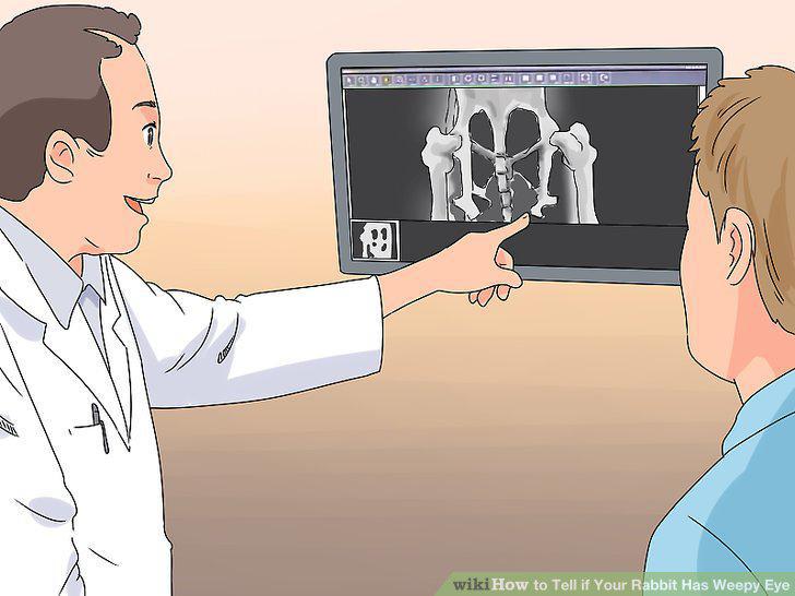 Step 10