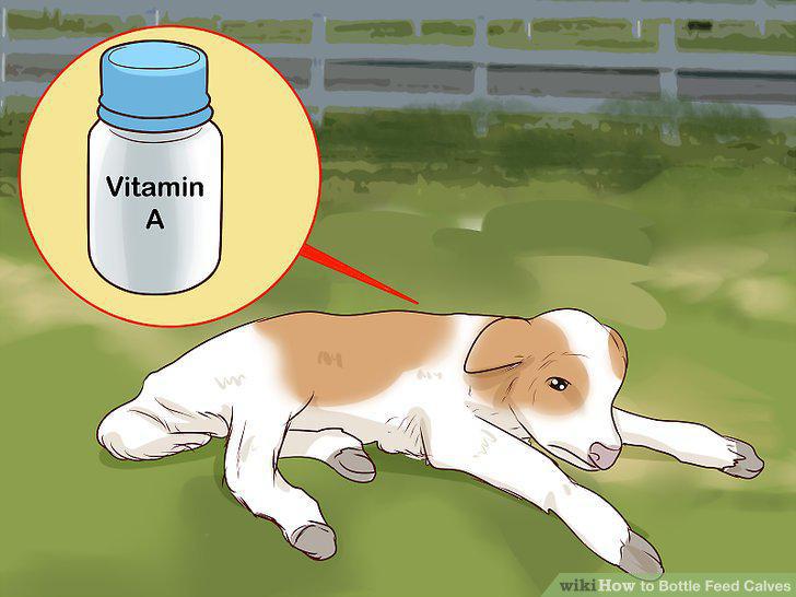 Step 11