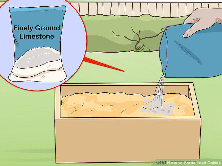 Step 13