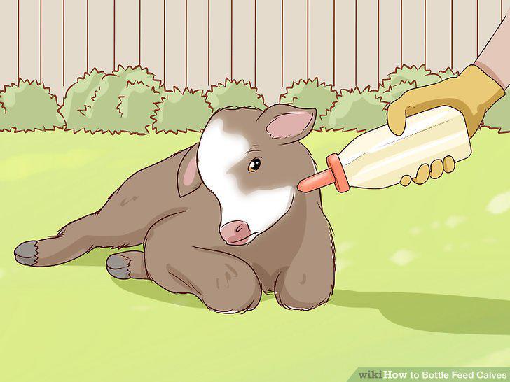 Step 14