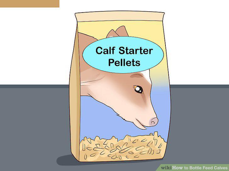 Step 16