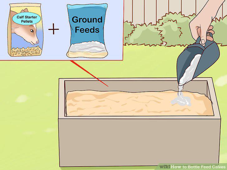 Step 17