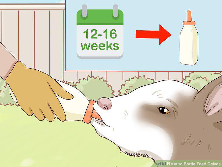 Step 18
