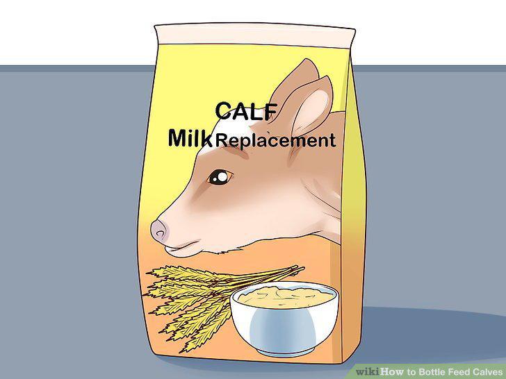 Step 10