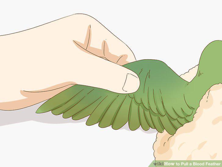 Step 2