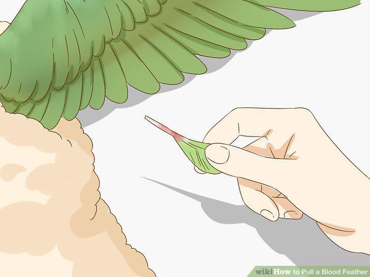 Step 3