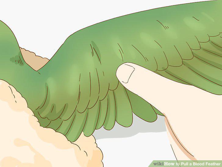 Step 4