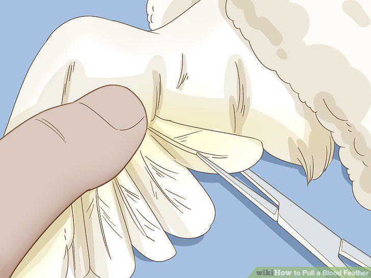 Step 5