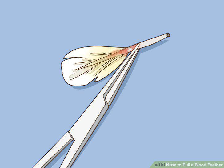Step 6