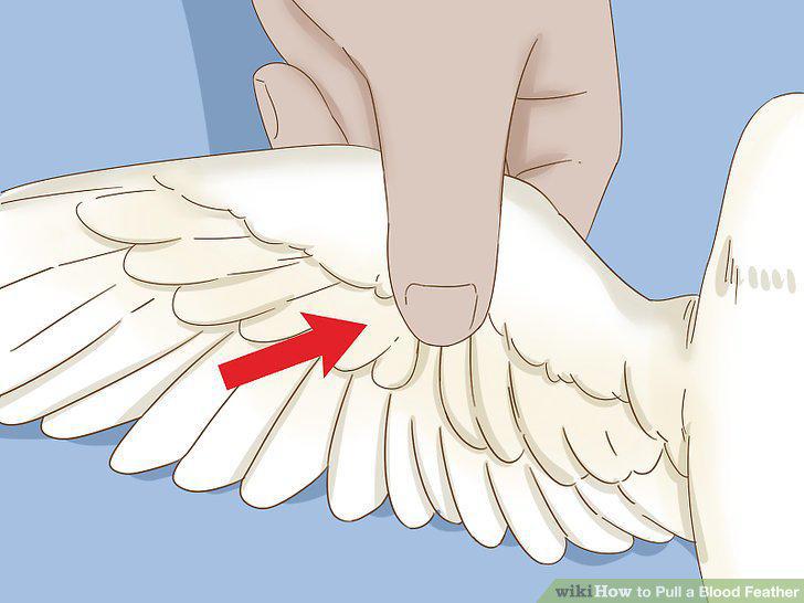 Step 8