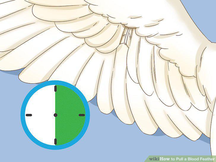 Step 9