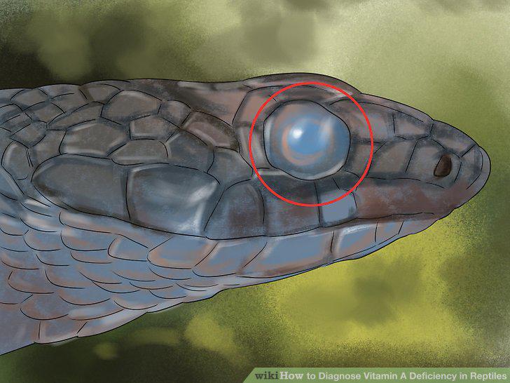 Step 3