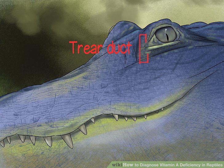 Step 4