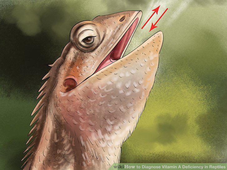 Step 8