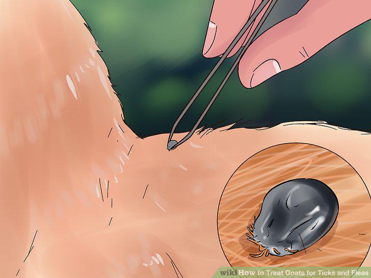 Step 2