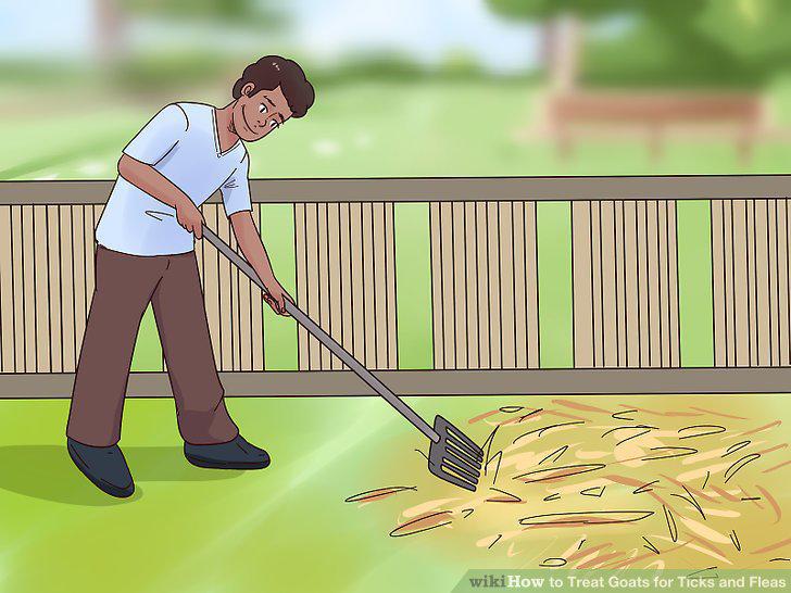 Step 8
