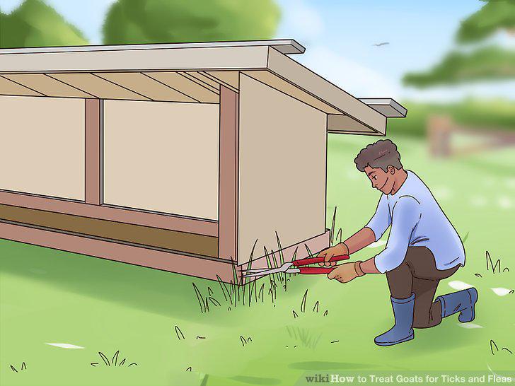Step 10